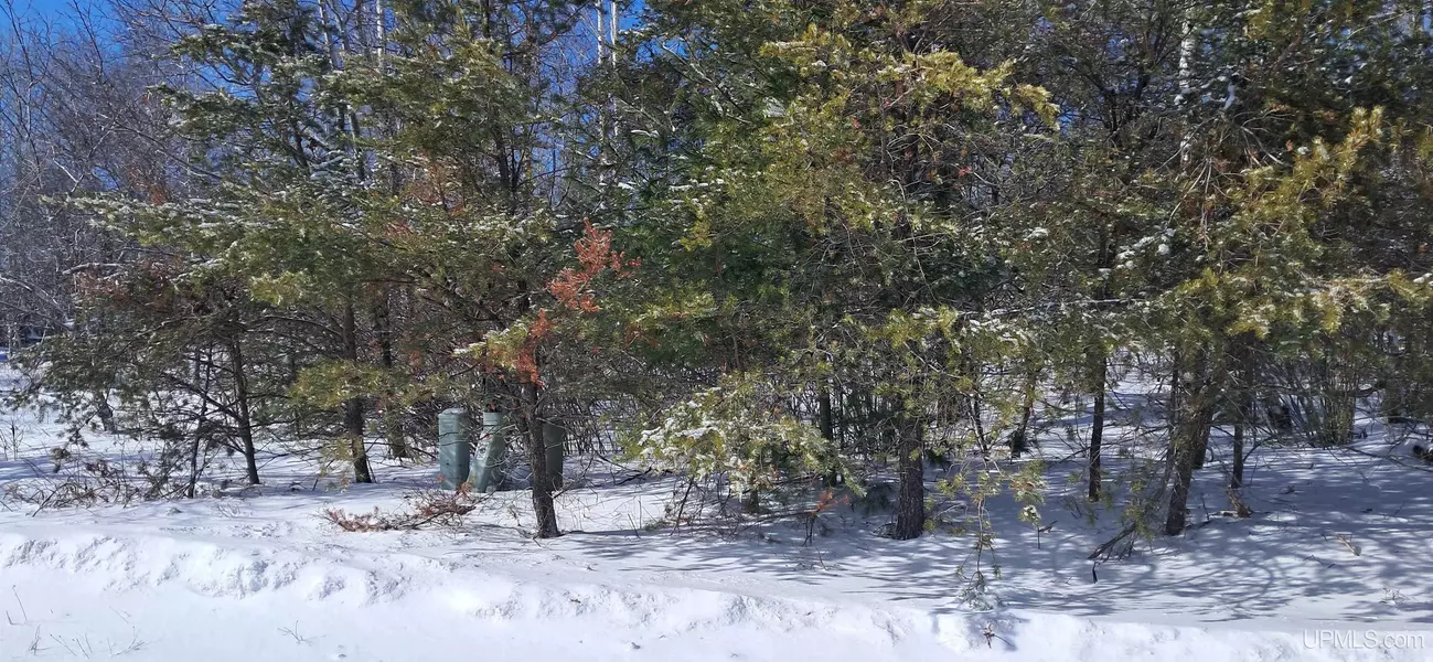 58 Wintergreen Circle, Gladstone, MI 49837