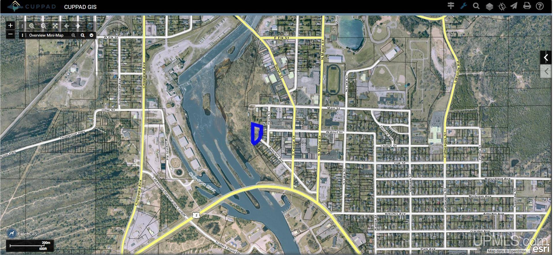 TBD NW Arbutus Ave Avenue, Manistique, MI 49854