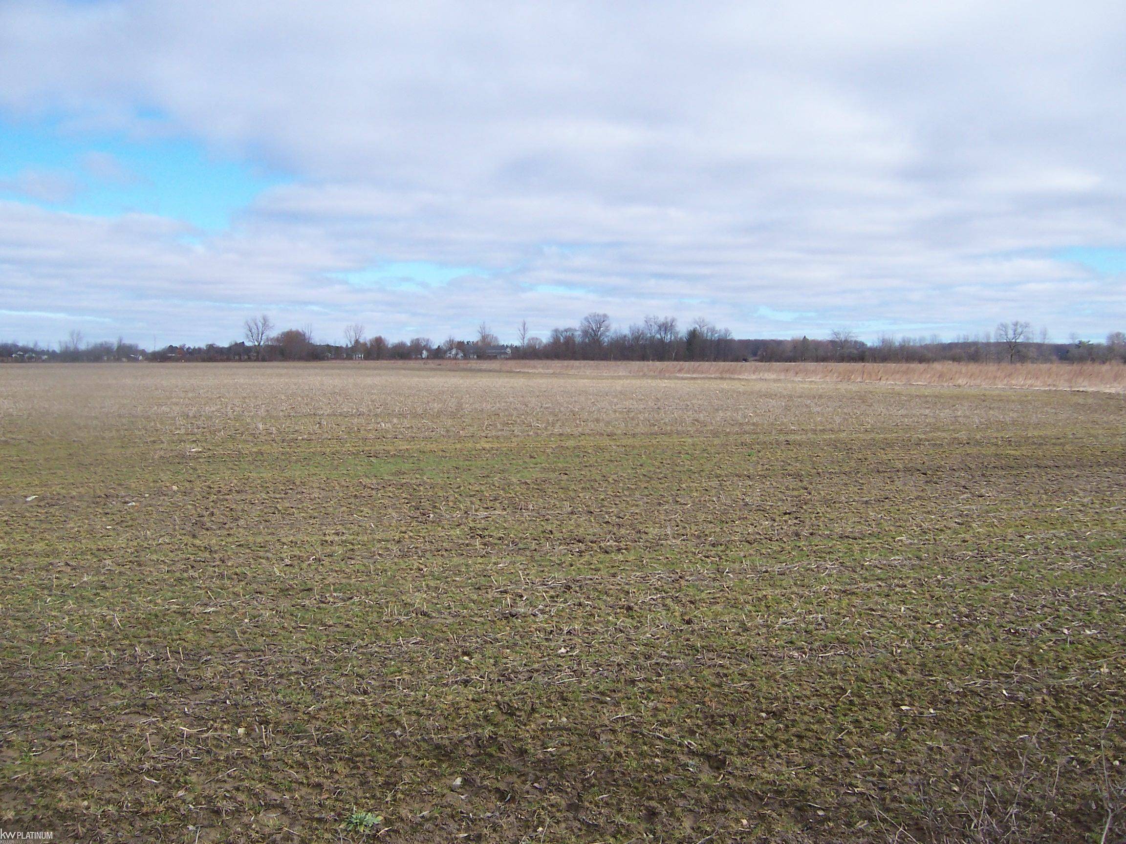 Lot I Carroll Rd Road, Columbus, MI 48063
