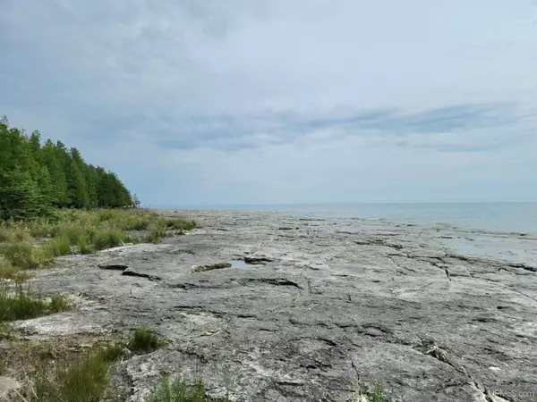 Garden, MI 49835,TBD Big Summer Island Island