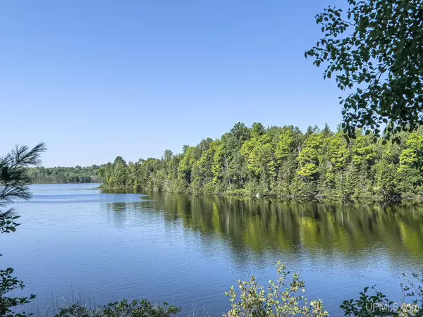 TBD Chaney Lake Road, Bessemer, MI 49911