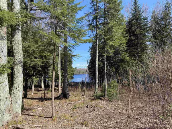 Lake Linden, MI 49945,TBD Lot 23 Keweenaw Pass