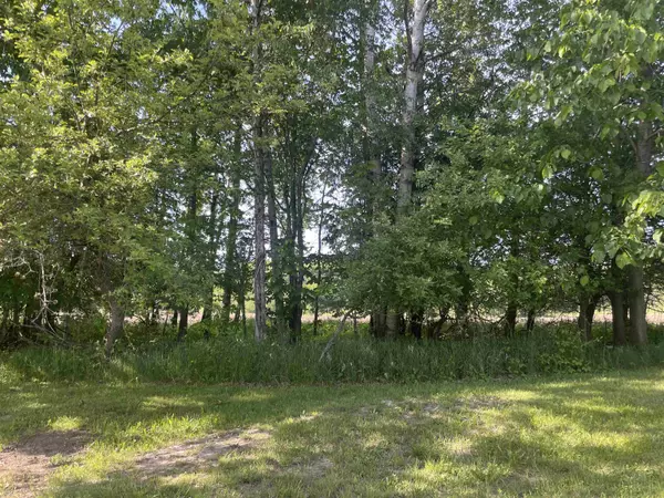 Gladwin, MI 48624,1962 Linksview Way Street