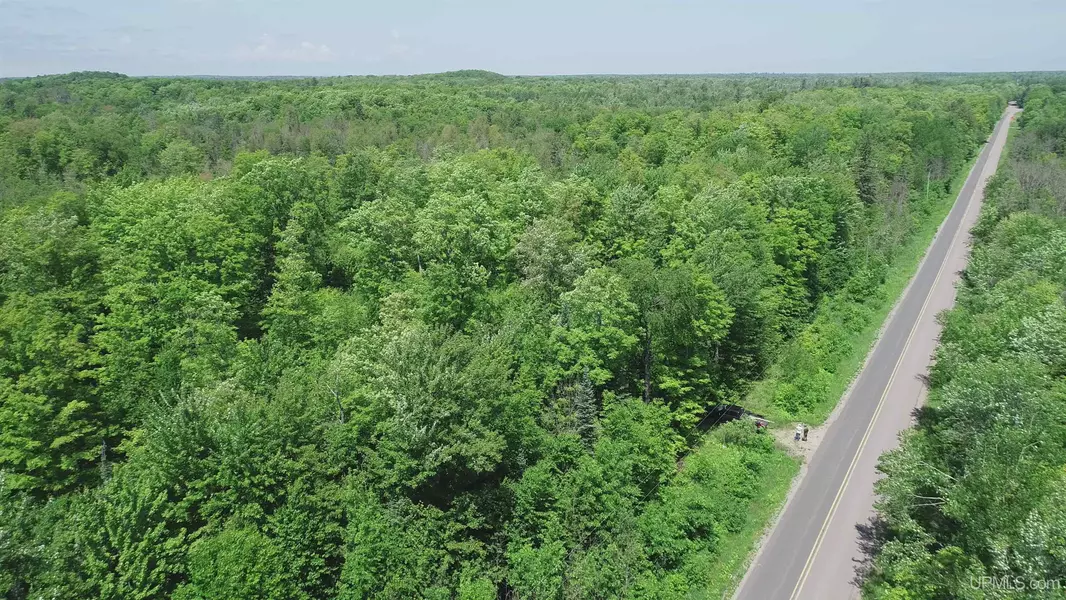 40 Acres Maple Grove Road, Skandia, MI 49885