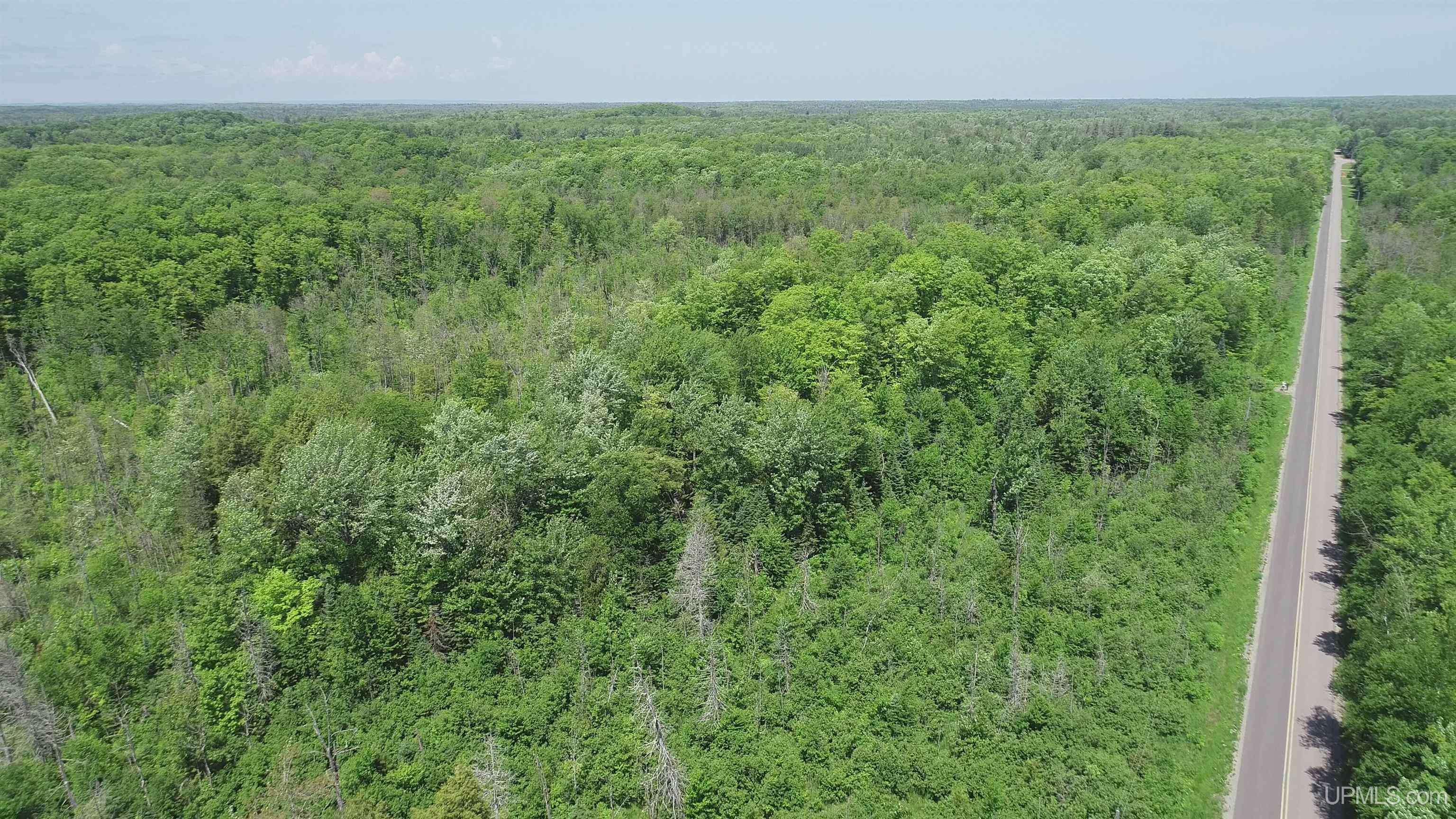Skandia, MI 49885,40 Acres Maple Grove Road