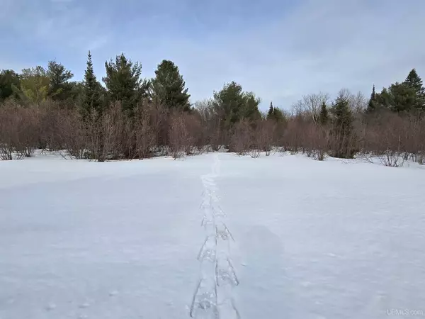 TBD M 38 Highway, Greenland, MI 49929