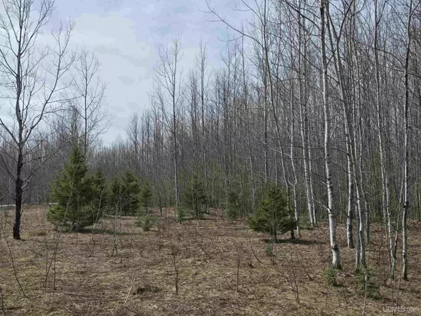 Ontonagon, MI 49953,TBD Woodspur Road