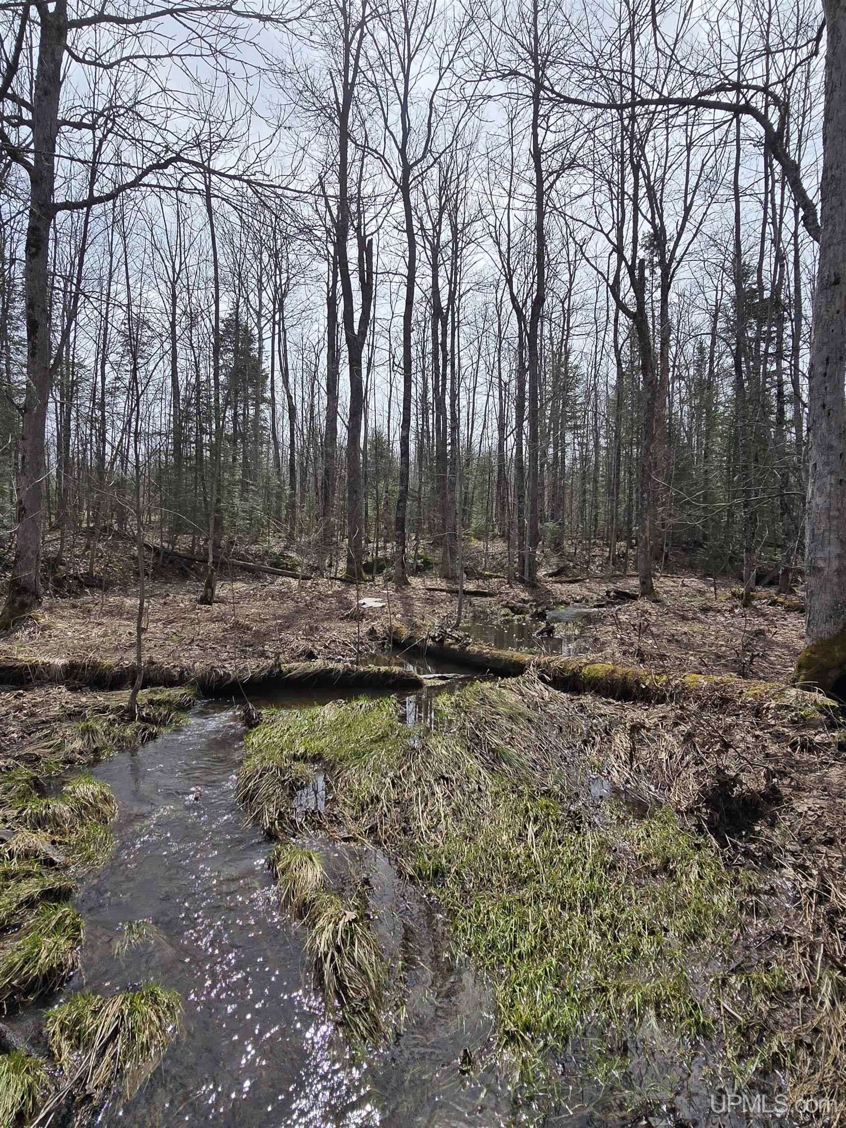 Ontonagon, MI 49953,TBD Woodspur Road