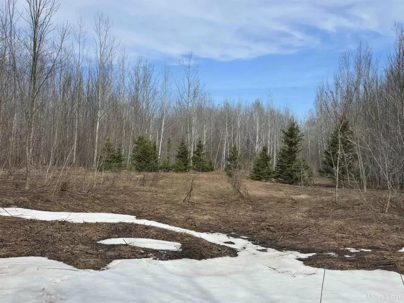 TBD Woodspur Road, Ontonagon, MI 49953