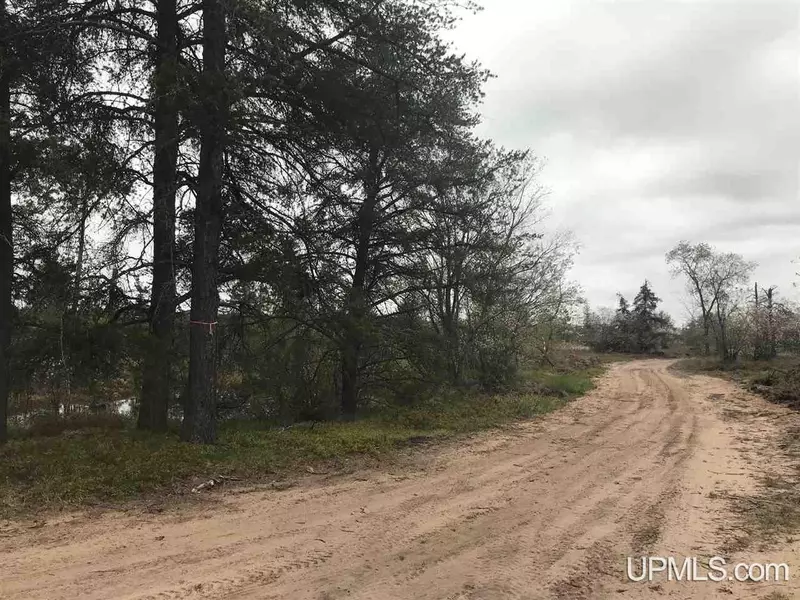 Parcel 8 Off Johnson Lake Road, Gwinn, MI 49841