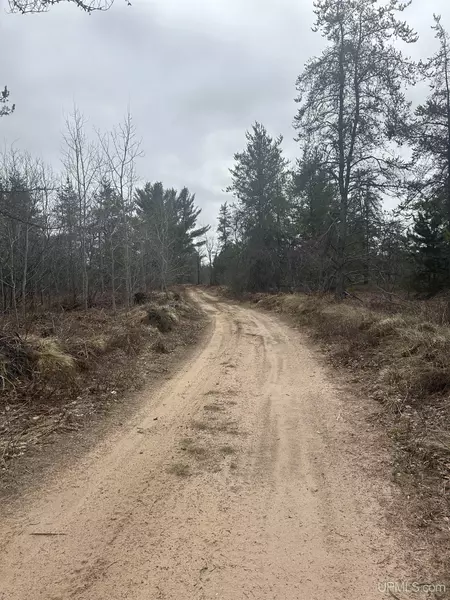 Parcel 2 Off Johnson Lake Road, Gwinn, MI 49841