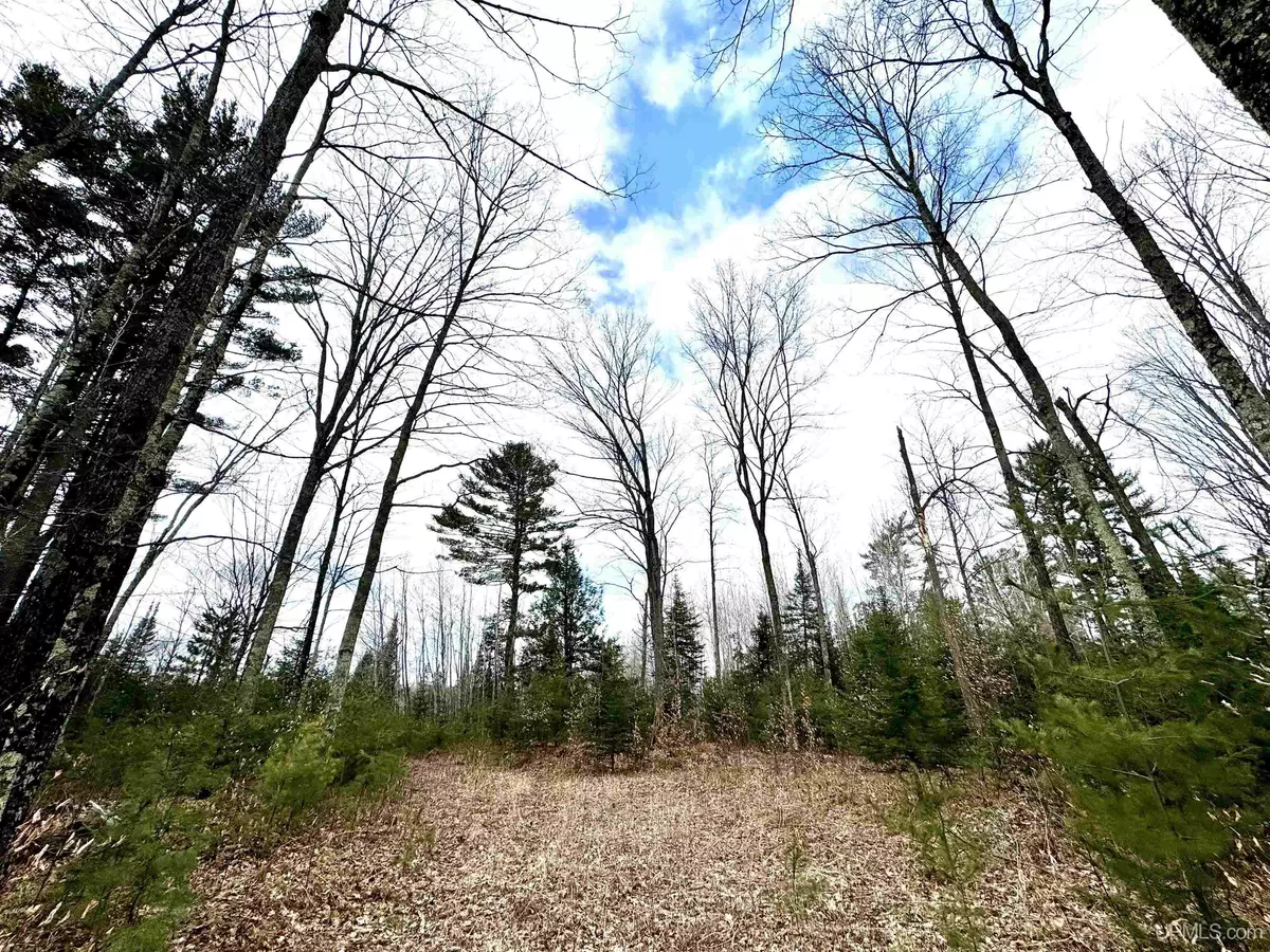 Perronville, MI 49873,TBD OFF M69 Road