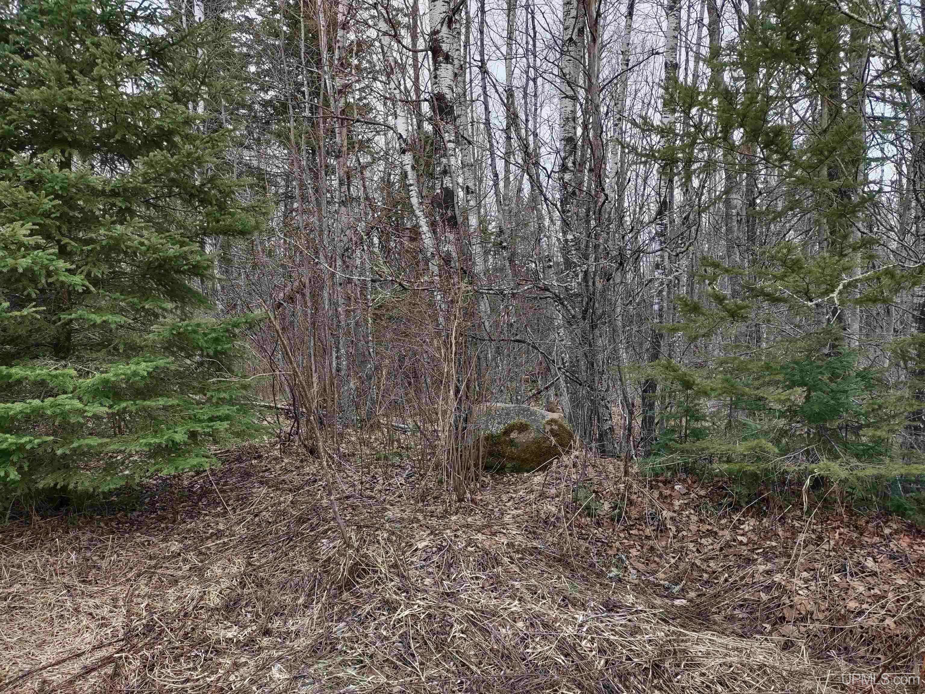 L'anse, MI 49946,TBD Off Ohman Road