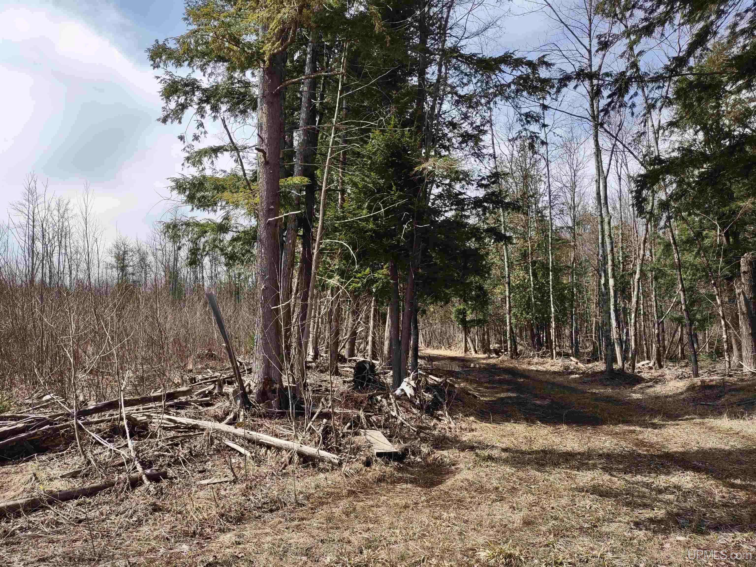 TBD Off Ohman Road, L'anse, MI 49946