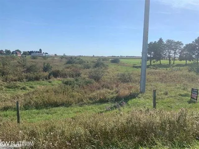 0 Peck A Road, Brown City, MI 48416