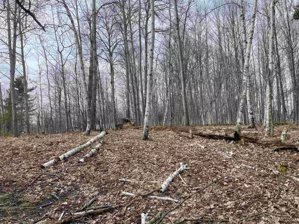 TBD SMITH LAKE DR Drive, Manistique, MI 49854