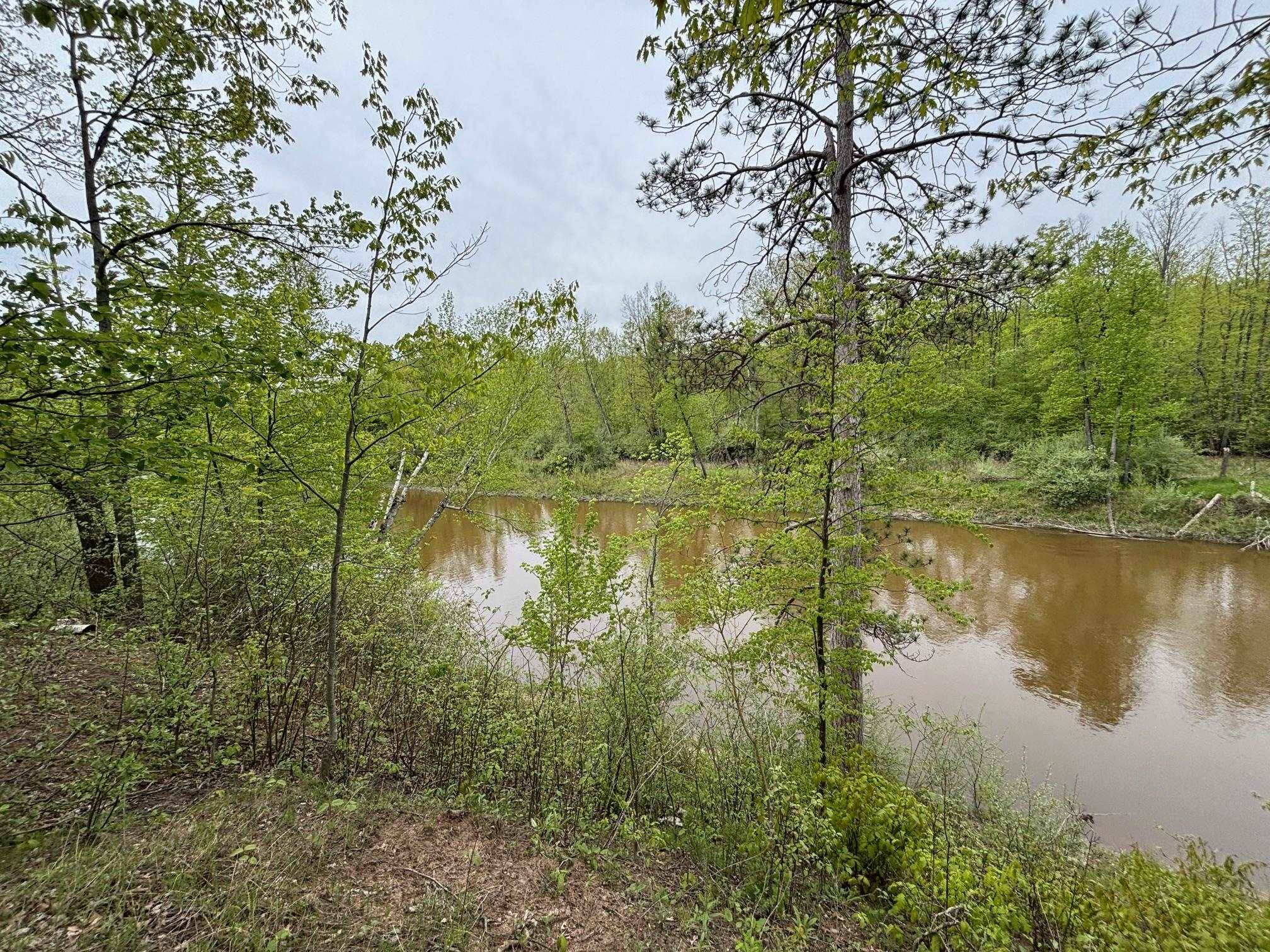 Gladwin, MI 48624,1240 Birch Ridge Road