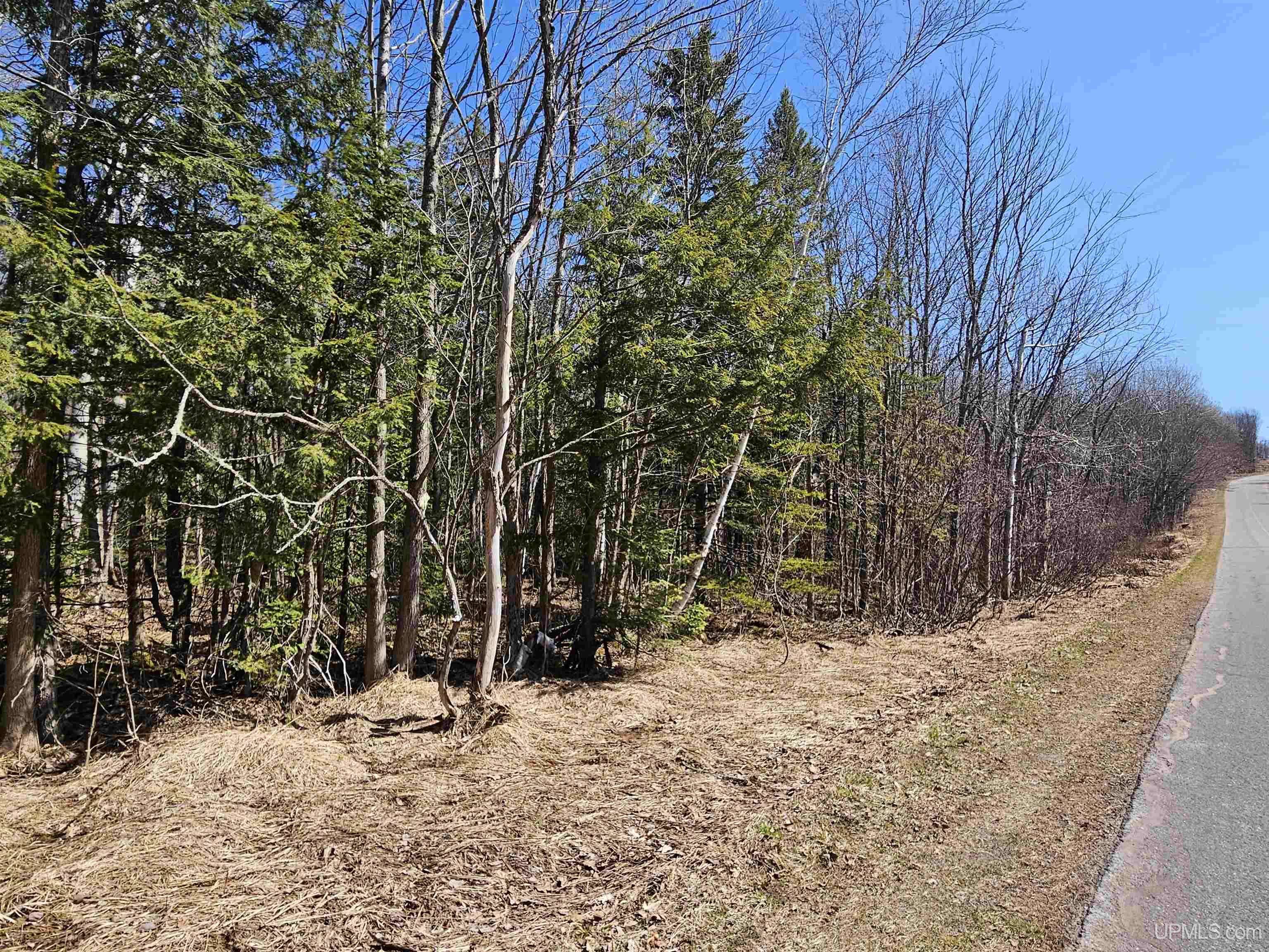 Bessemer, MI 49911,TBD E 10 Acres Prospect Drive