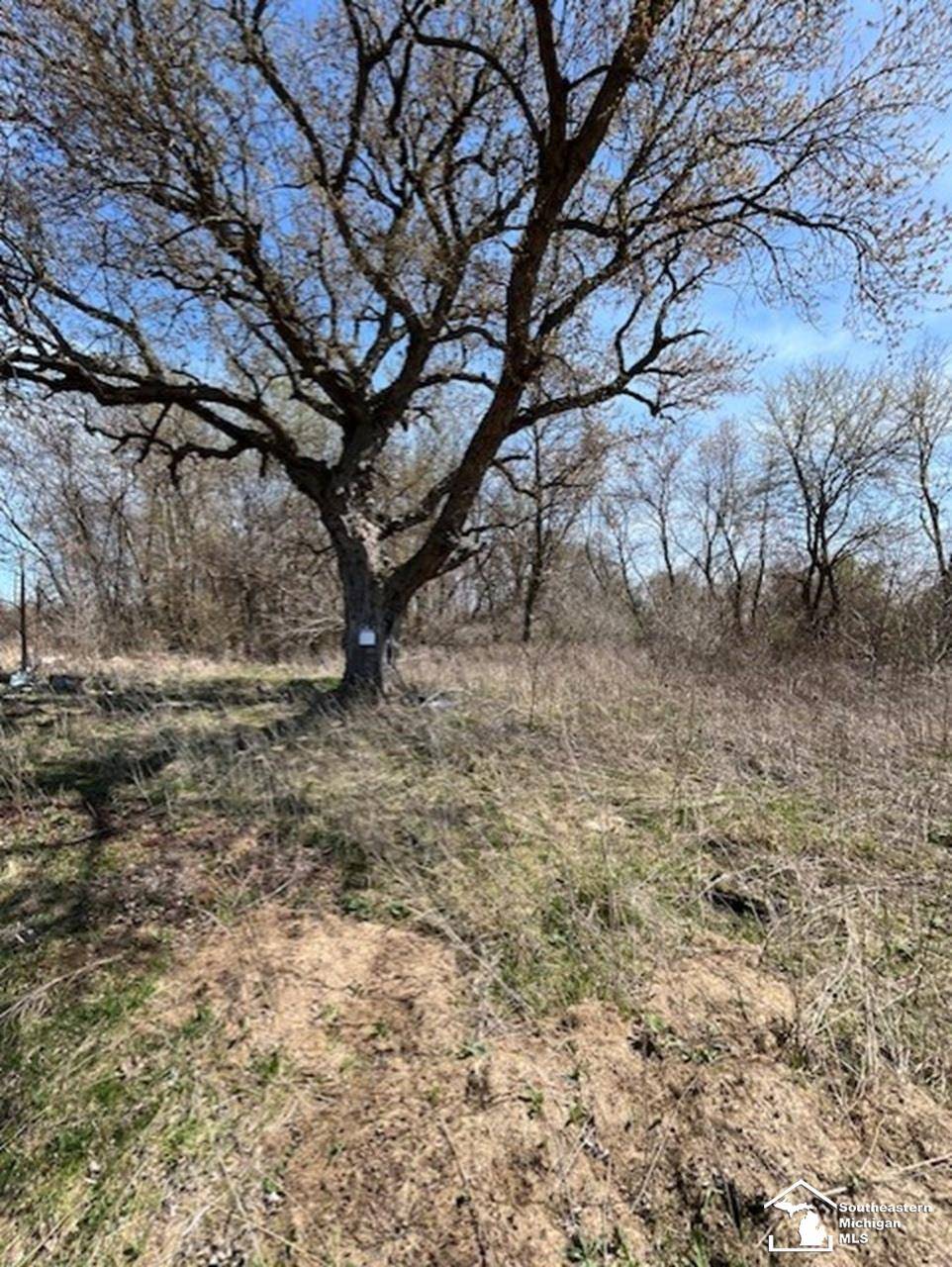 3907 Grodi Road,  Erie,  MI 48133