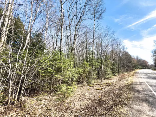 Bessemer, MI 49911,On Chaney Lake Road