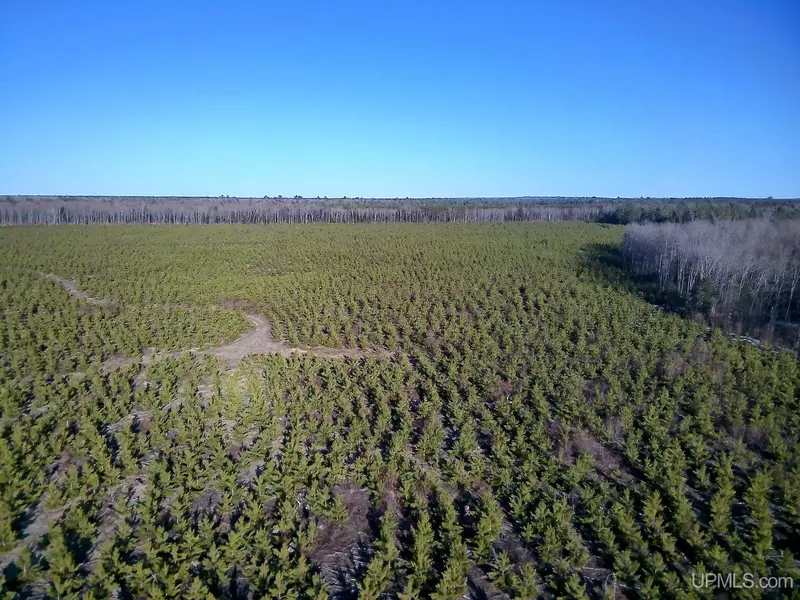 TBD Parcel 3 16 Mile Lake Road, Au Train, MI 49806