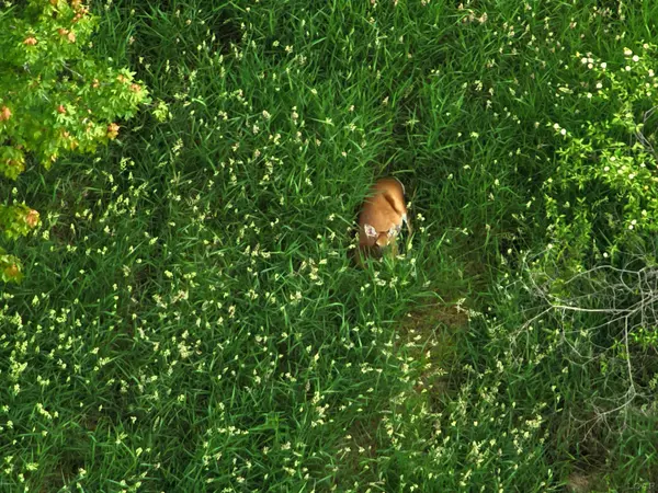 Adrian, MI 49221,5000 Treat Hwy Blk Highway