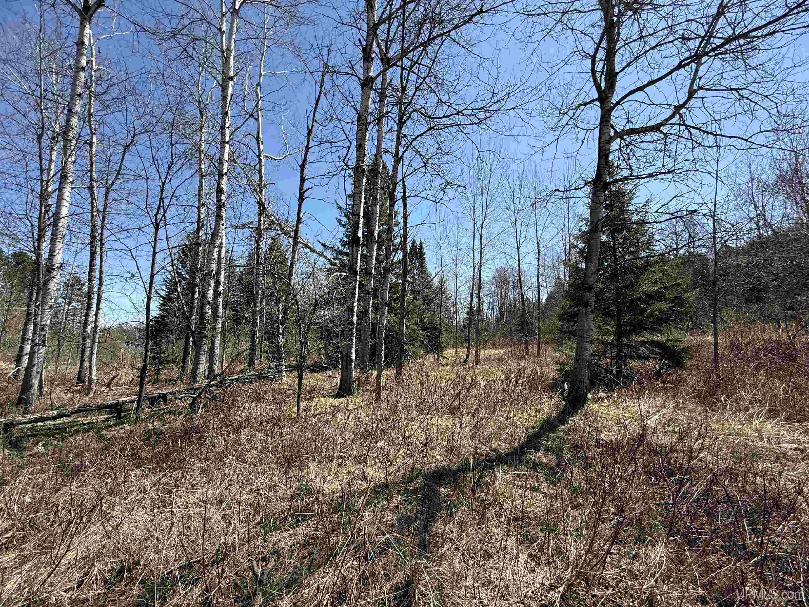635 Power Plant Road, Crystal Falls, MI 49920