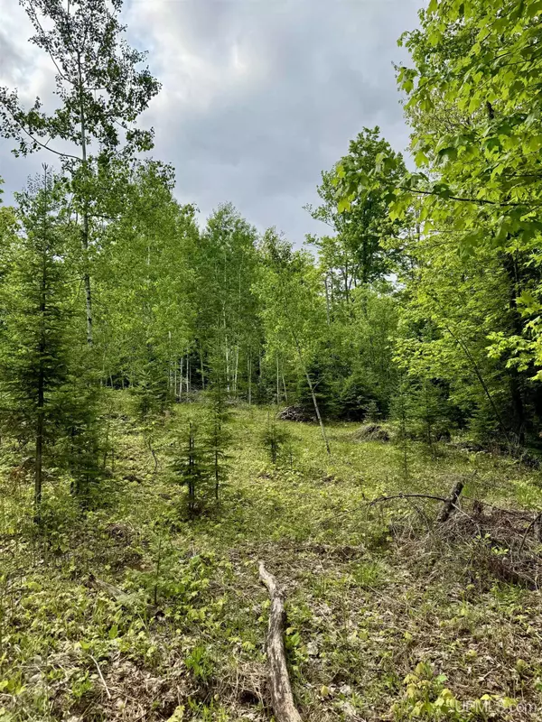 Negaunee, MI 49866,TBD Maple Ridge Road