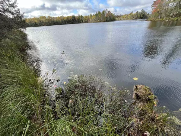 Republic, MI 49879,TBD Horseshoe Lake Road