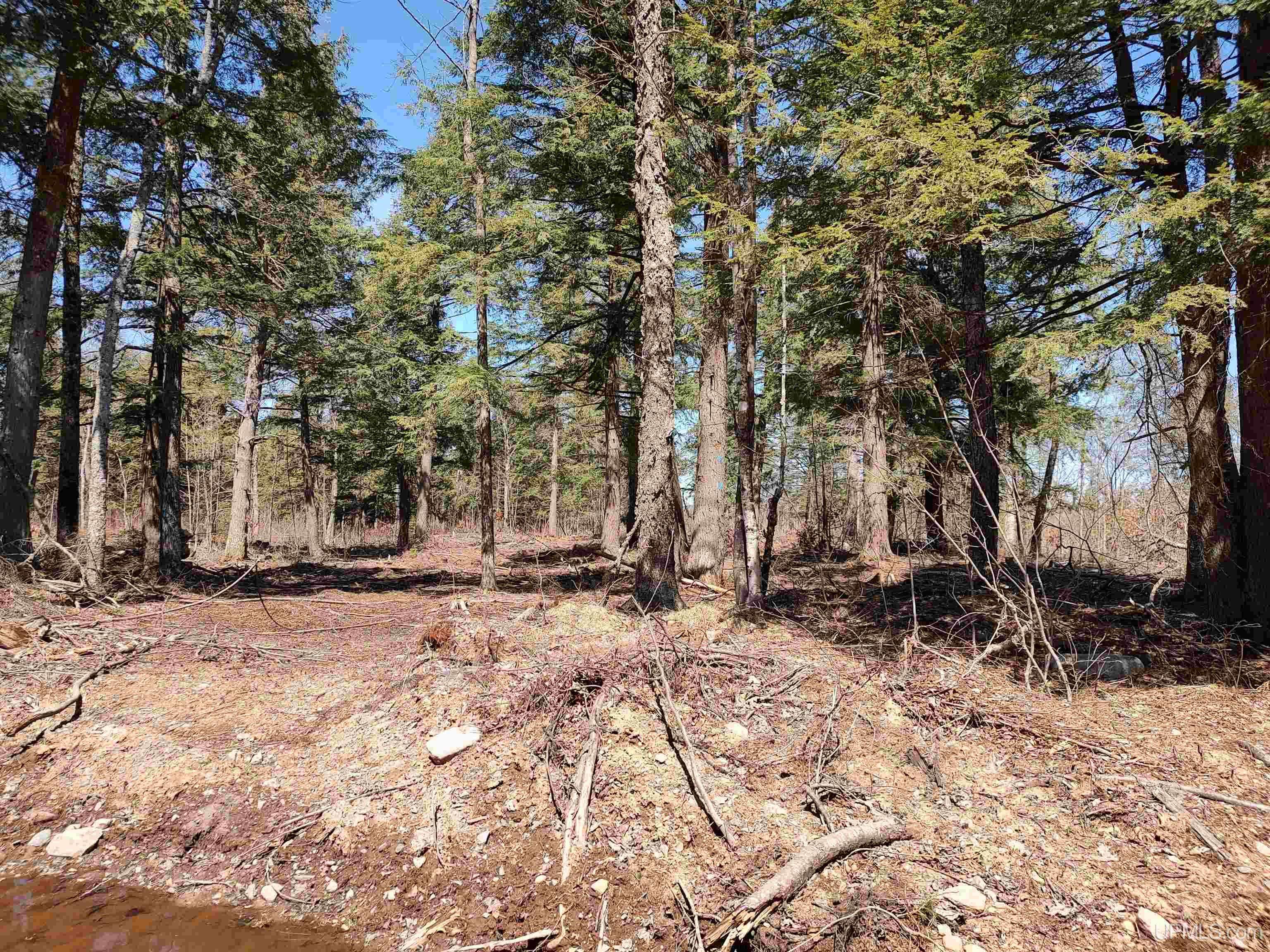 Skanee, MI 49962,TBD Black Creek (East) Road