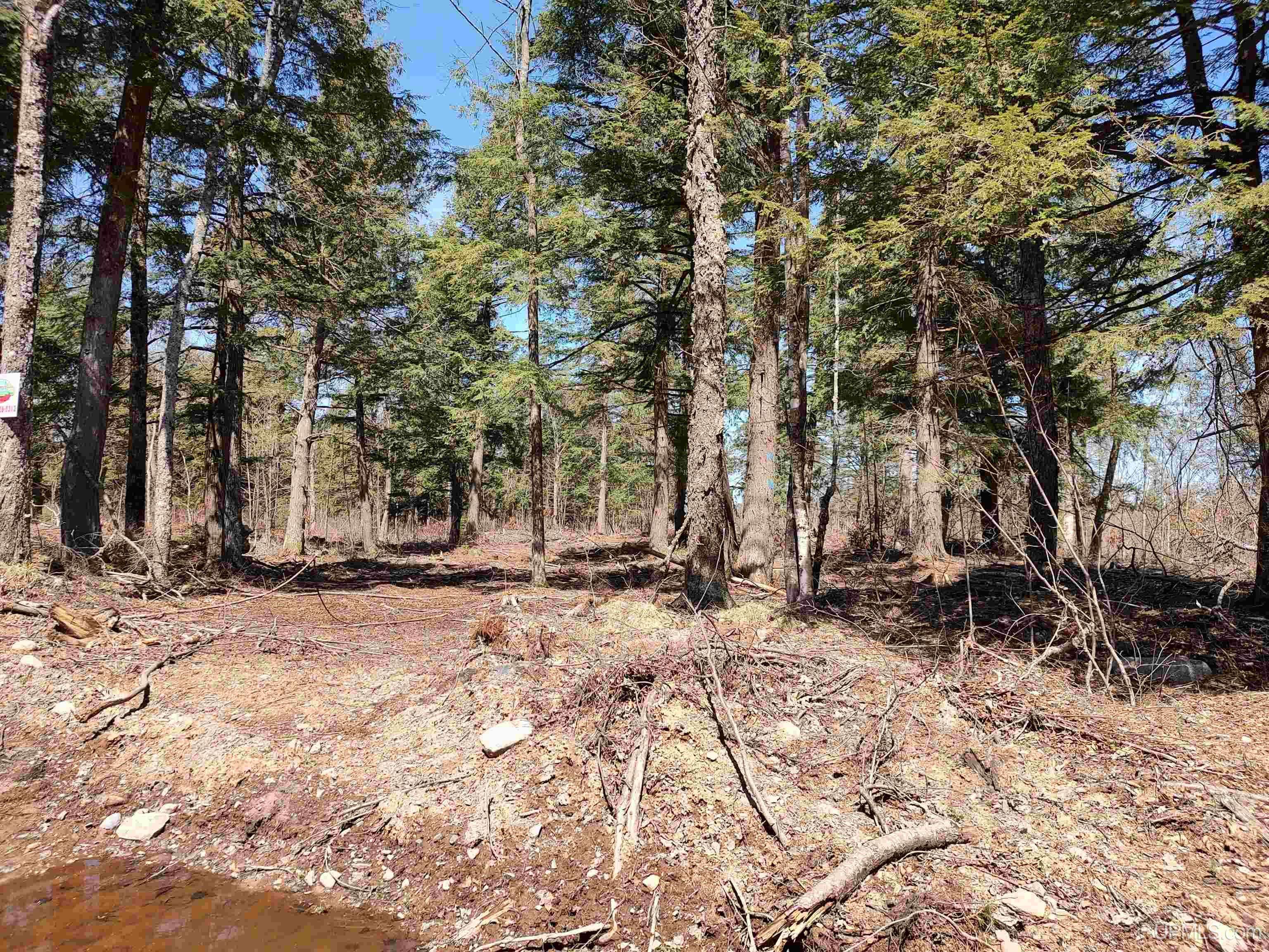 Skanee, MI 49962,TBD Black Creek (East) Road