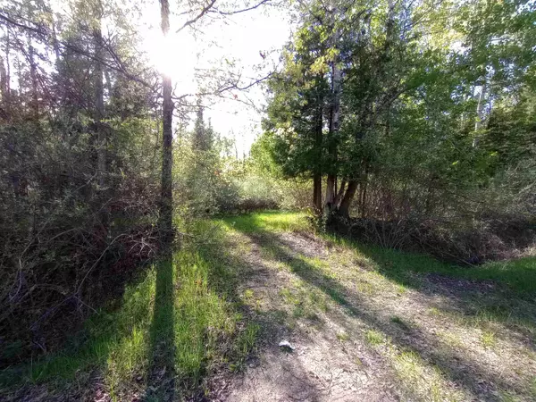 Gladwin, MI 48624,Lots 6-7 Brassie Court