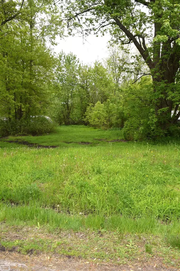 New Baltimore, MI 48047,38199 Murdicks Drive