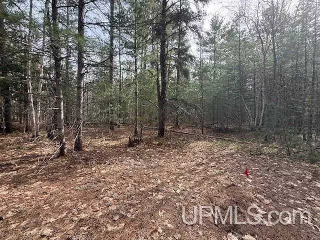 TBD Chamberlain Road, Wetmore, MI 49895