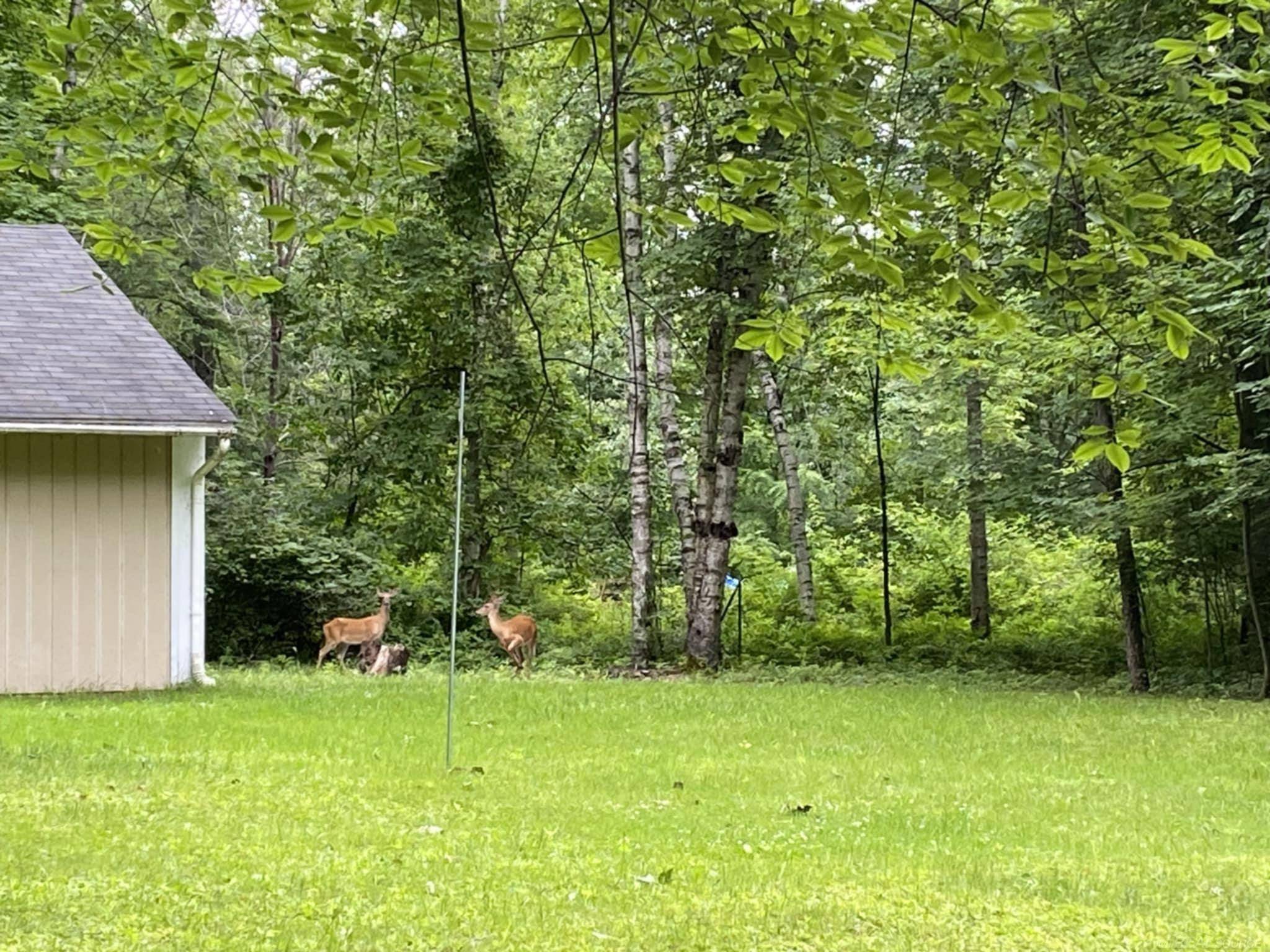 Applegate, MI 48401,7171 Suerwier Road