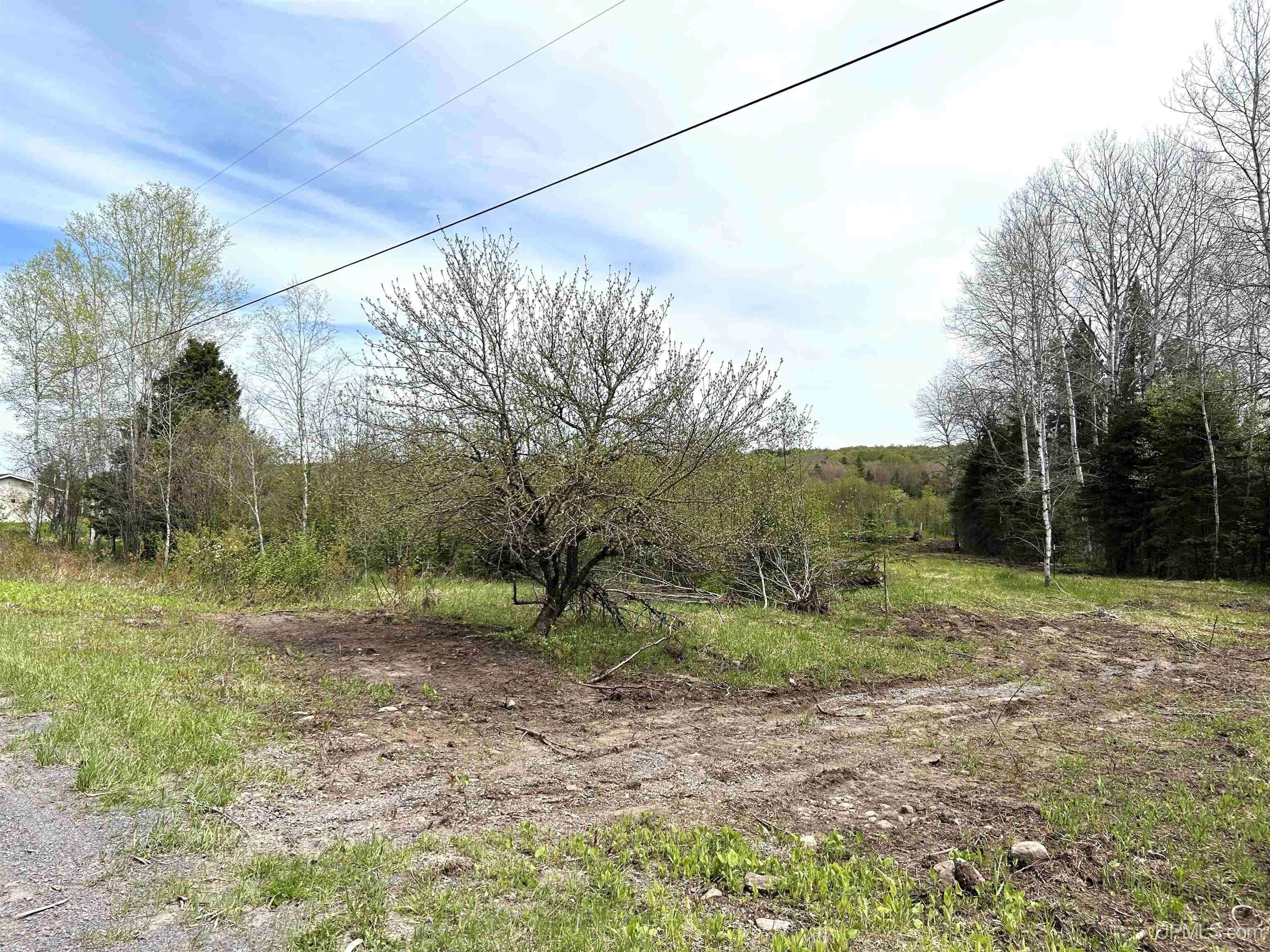 TBD Lower Worham Road, Chassell, MI 49916