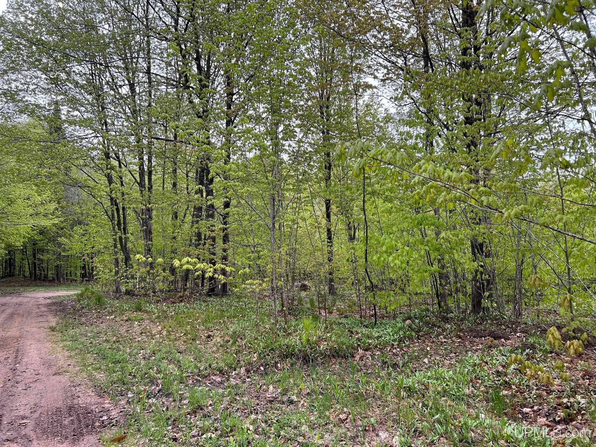 TBD Harborview Unit 8 Drive, Munising, MI 49862