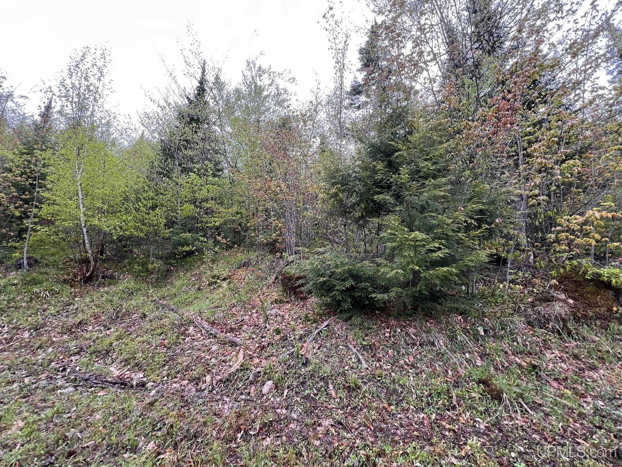 TBD Harborview Unit 10 Drive, Munising, MI 49862