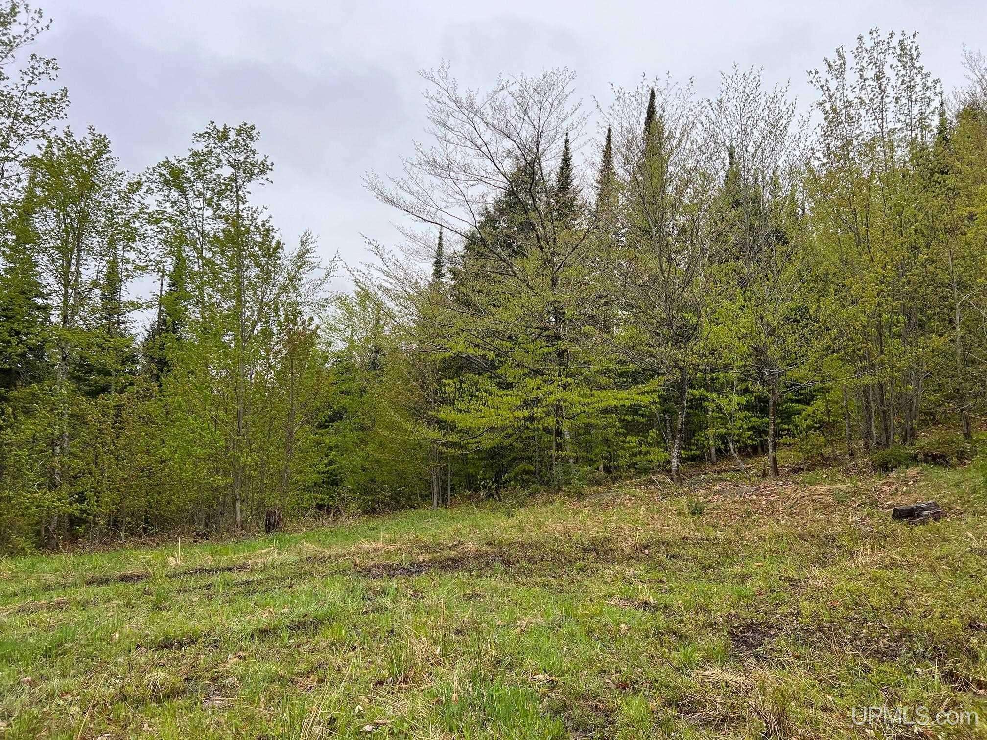 TBD Harborview Lot 12 Drive, Munising, MI 49862