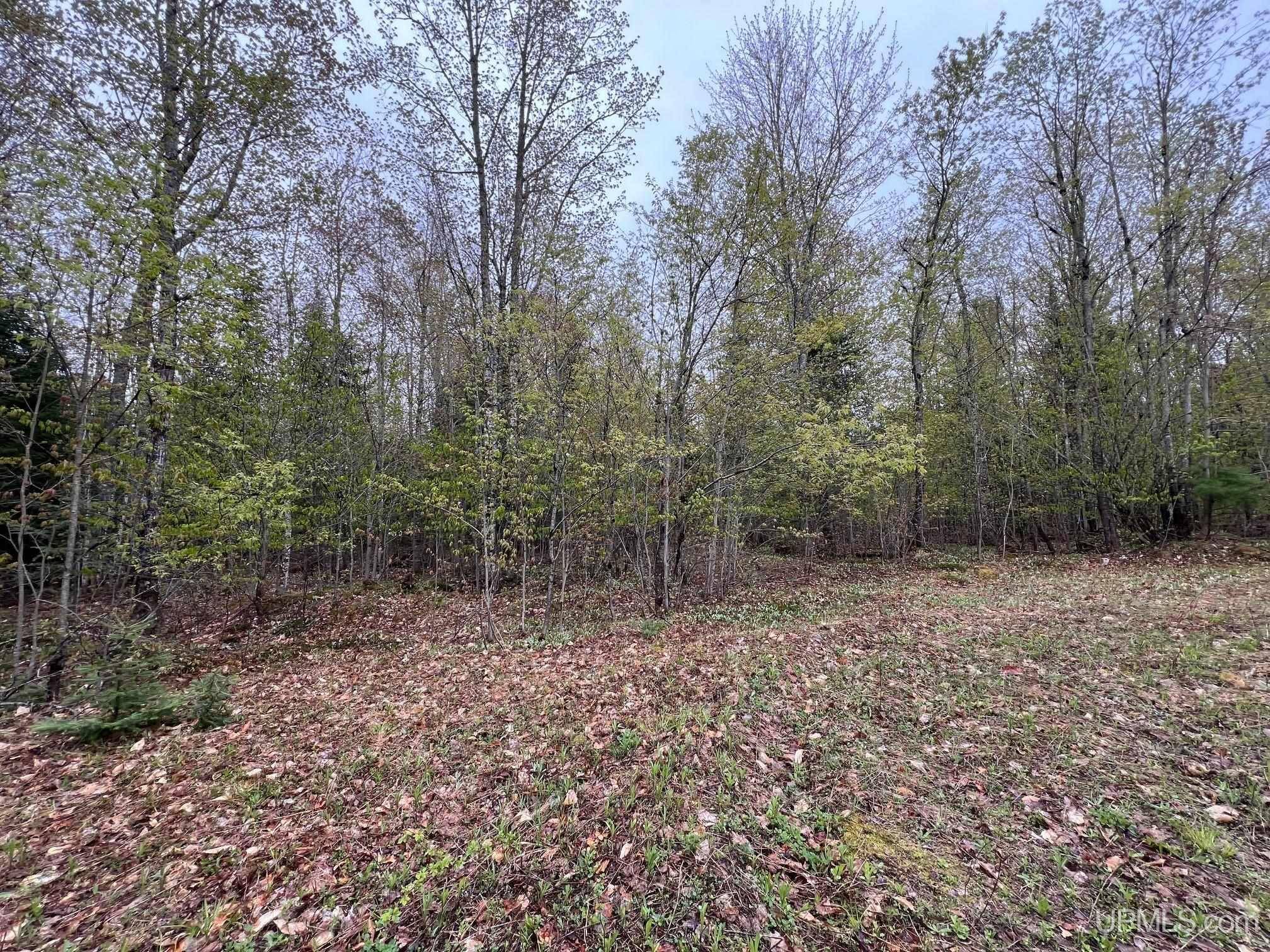 TBD Harborview Lot 19 Drive, Munising, MI 49862