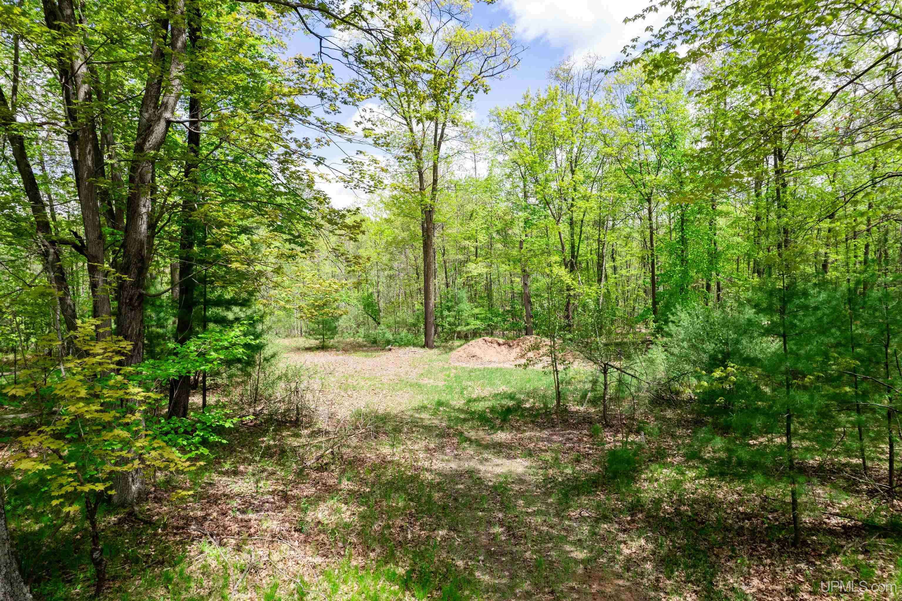 Lot 1 Riverview Drive, Menominee, MI 49858