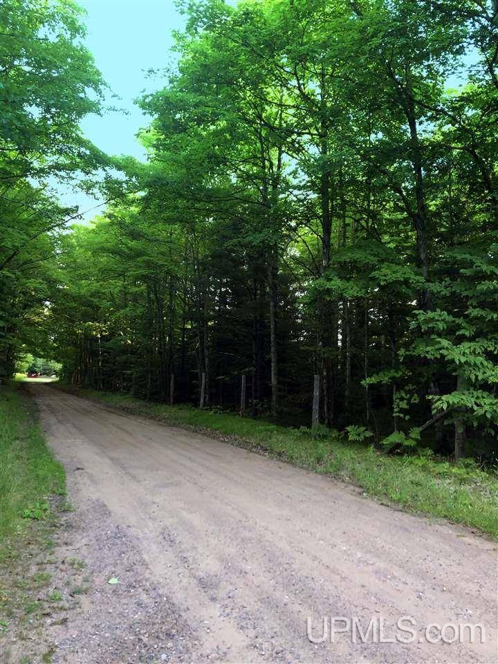 Gwinn, MI 49841,TBD EEK Road