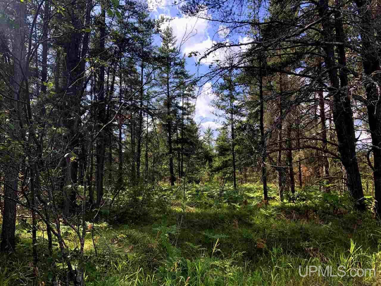 915 N Sporley Lake Road, Gwinn, MI 49841-0000