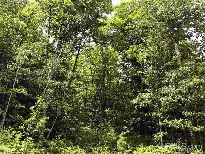 Lot H Maple Wood Lane, Gwinn, MI 49841-0000