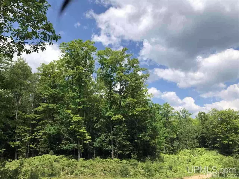 Lot G Maple Wood Lane, Gwinn, MI 49841-0000