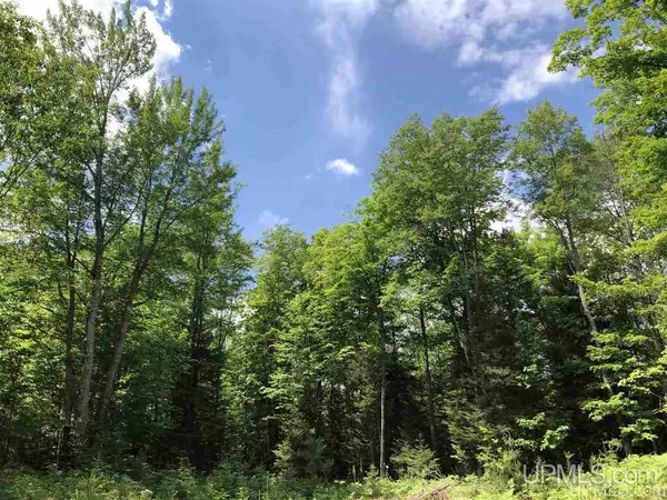 Gwinn, MI 49841-0000,Lot F Maple Wood Lane