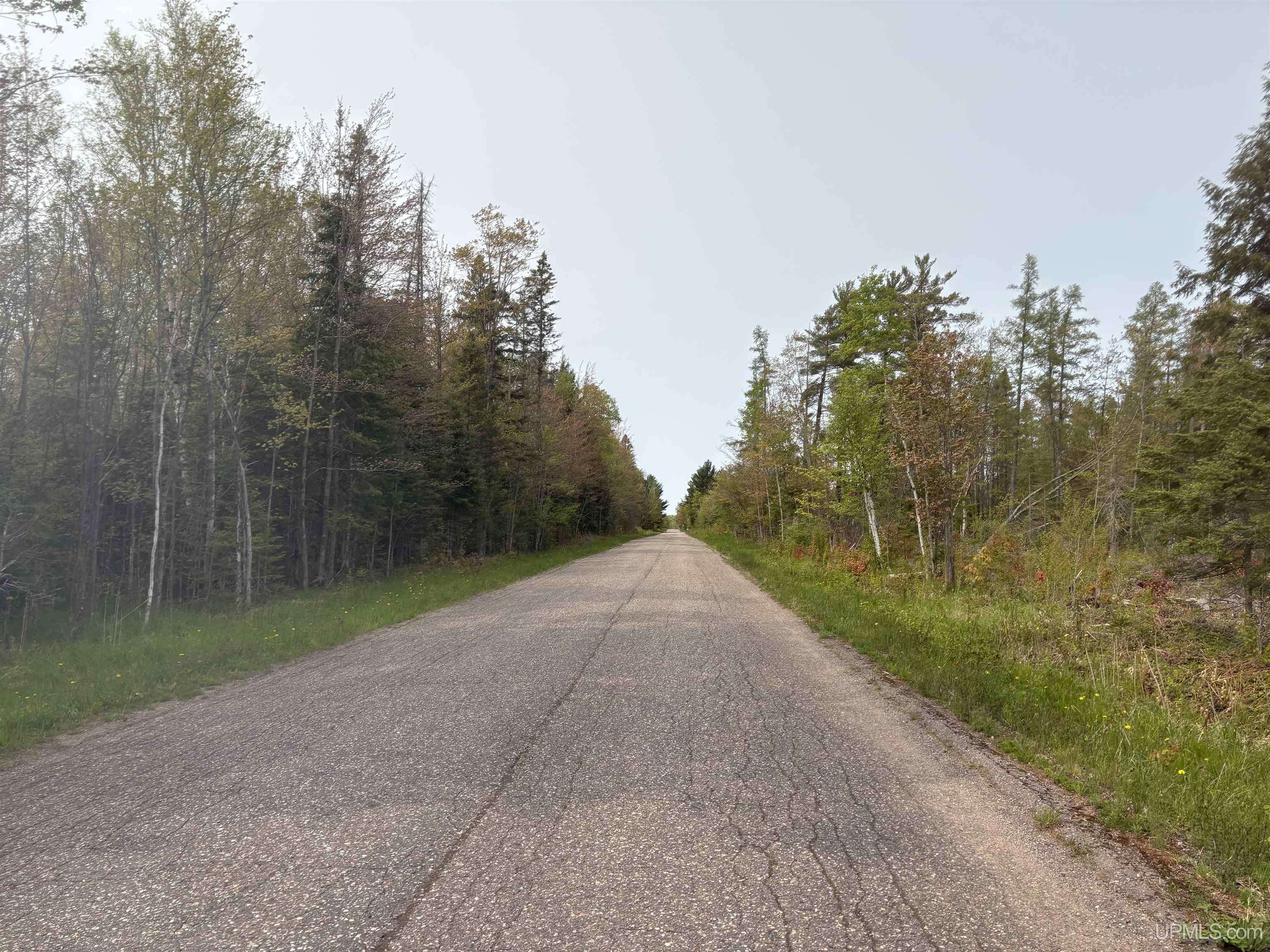 TBD S PCL 2 Kunde Road, Skandia, MI 49885