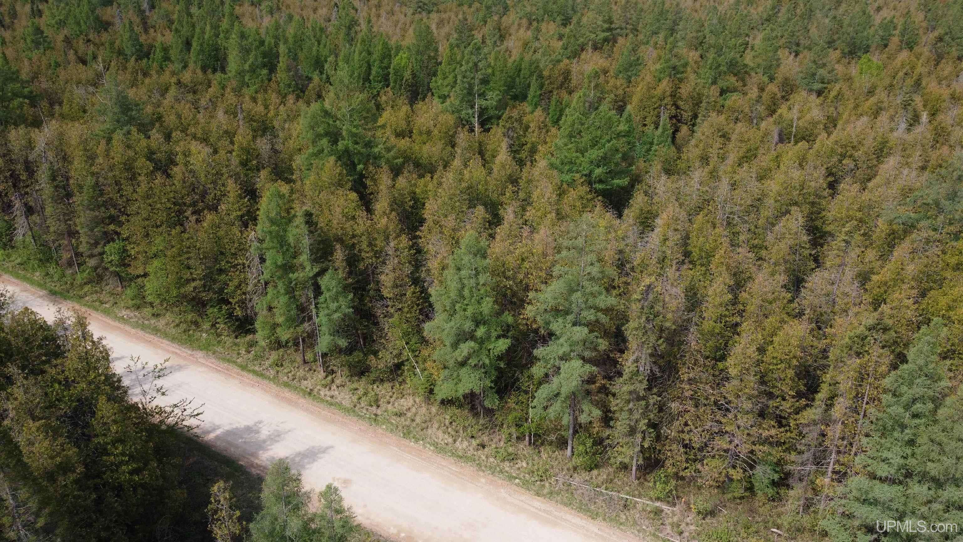 Vega Road, Hermansville, MI 49847