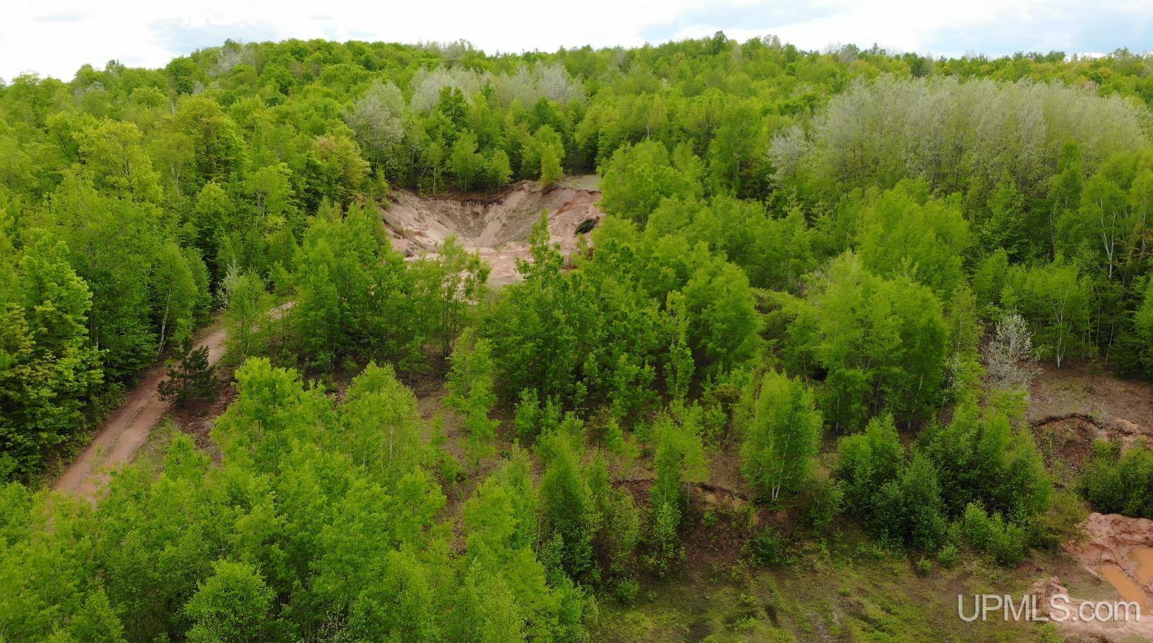 TBD 1 Section Line Road, Trout Creek, MI 49967