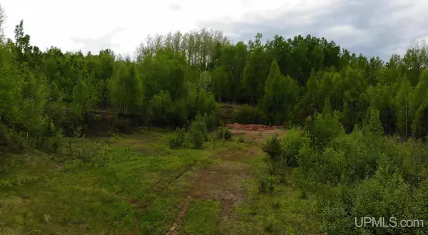 Trout Creek, MI 49967,TBD 1 Section Line Road